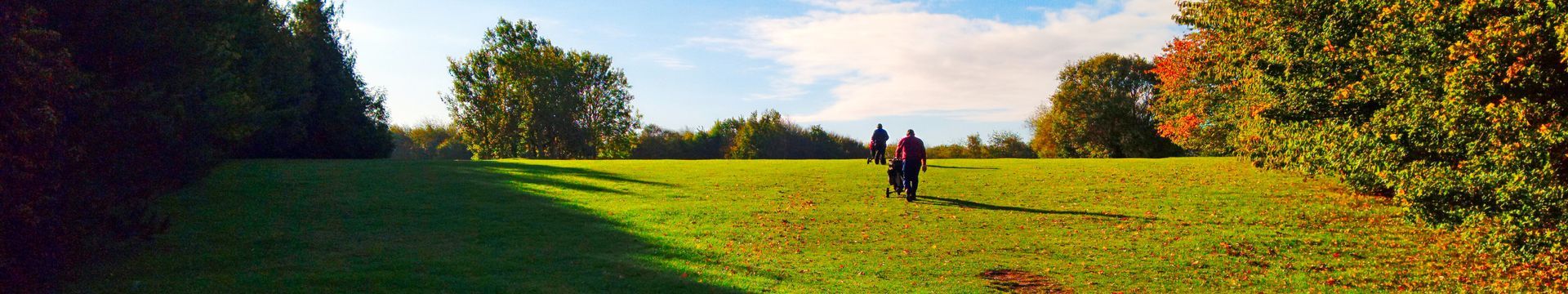 Autum Header