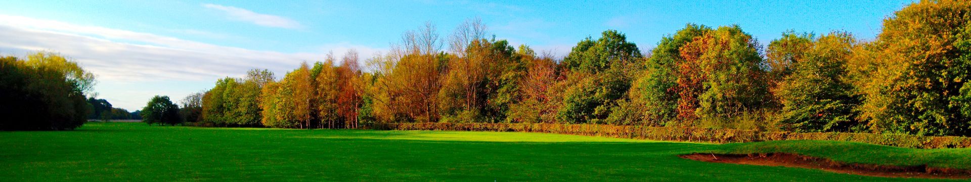 Autum Header