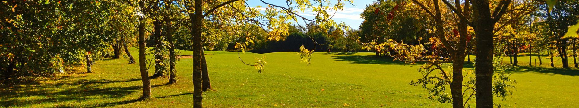 Autum Header