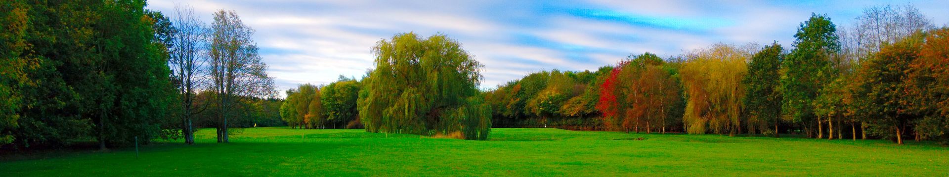 Autum Header