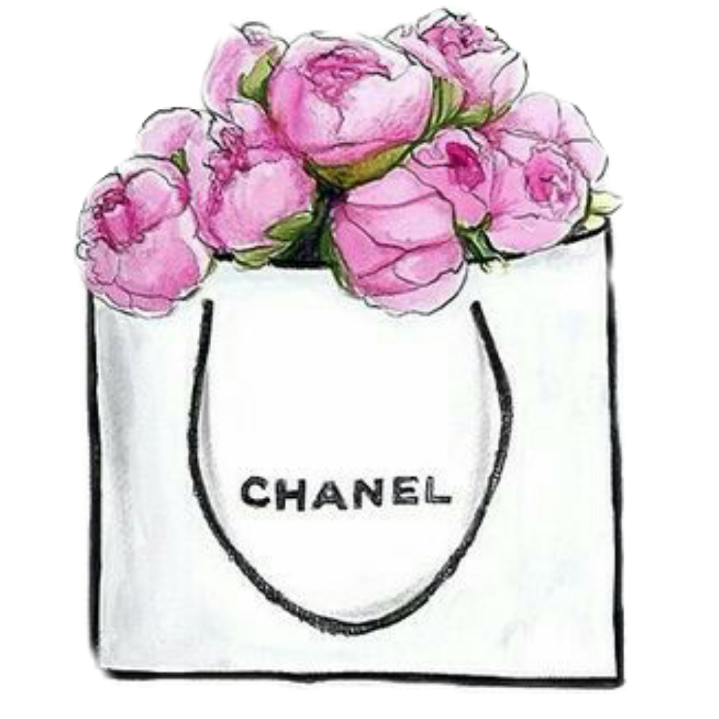 Image petit sac Chanel Boutique Lysianne