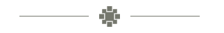 Horizontal line with a decorative gray center element.