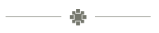A gray horizontal line with a geometric floral design in the center.