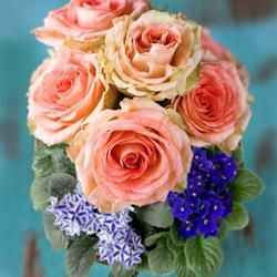 A Vibrant Arrangement of Peach Roses and Purple Violets — Crystal Cauldron In South Mackay, QLD