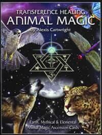 Transference Healing: Animal Magic — Crystal Cauldron In South Mackay, QLD
