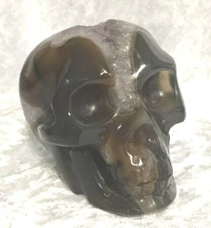 A Black and White Skull Featuring a Distinct Brown Face — Crystal Cauldron In South Mackay, QLD