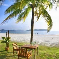 A Serene Beach Scene Featuring a Palm Tree — Crystal Cauldron In South Mackay, QLD