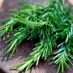 Fresh Green Rosemary Sprigs Arranged on A Wooden Surface — Crystal Cauldron In South Mackay, QLD