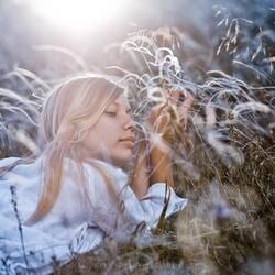 A Person Lies in A Sunlit Field — Crystal Cauldron In South Mackay, QLD