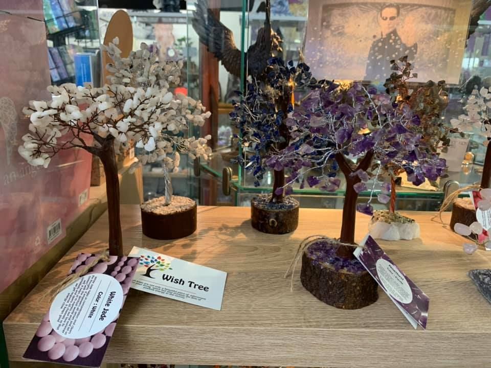 A Display Case Filled with Trees — Crystal Cauldron in South Mackay, QLD
