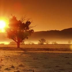 Golden Sun Rising Over a Misty Landscape — Crystal Cauldron In South Mackay, QLD