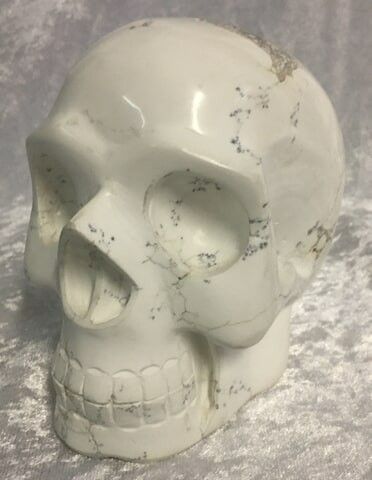 A White Skull with Scattered Black Speckles — Crystal Cauldron In South Mackay, QLD