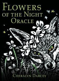 Flowers of The Night Oracle — Crystal Cauldron In South Mackay, QLD