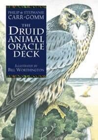 The Druid Animal Oracle Deck — Crystal Cauldron In South Mackay, QLD