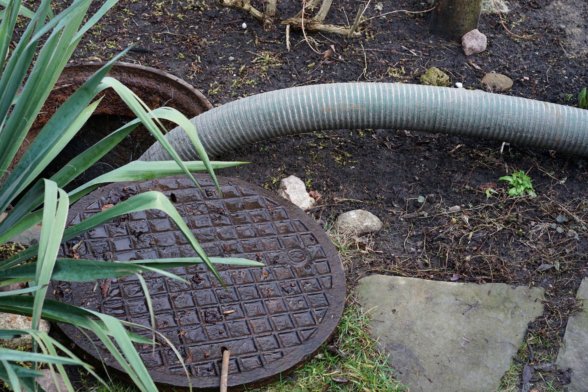 A circular metal manhole cover sits partially open next to a long, ribbed gray hose on the dirt ground in a garden.