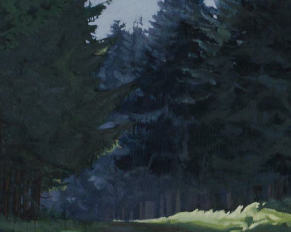 Een donker dennenbos met diepe schaduwen, een stukje verlicht gras op de voorgrond en een bewolkte, schemerige hemel erboven.