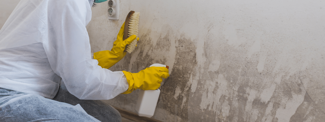 Person applying a liquid substance to a wall with a tool, lit by a work light, in an indoor setting.