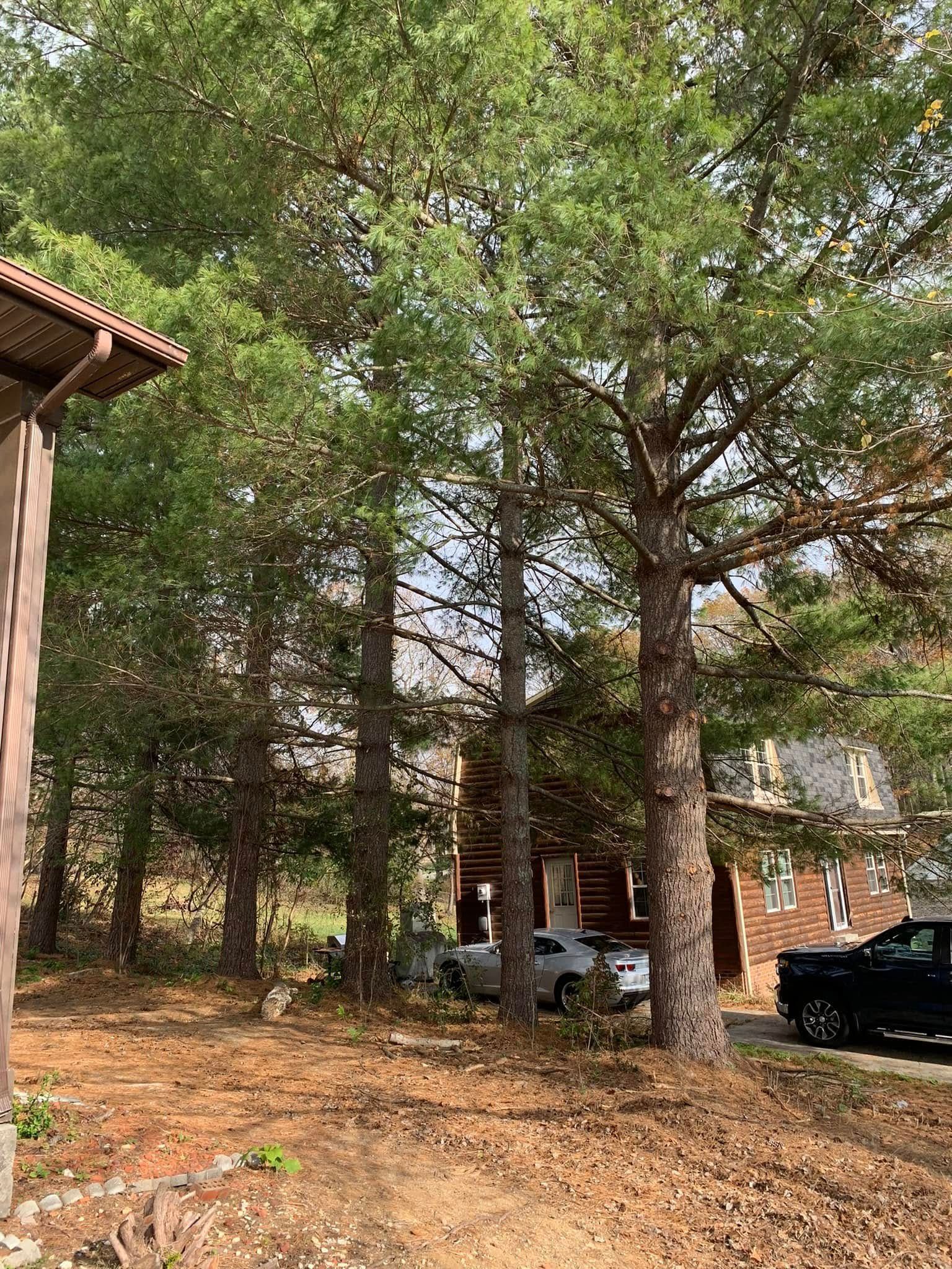 A house is surrounded by trees and a truck is parked in front of it. A house is surrounded by trees and a truck is parked in front of it.
