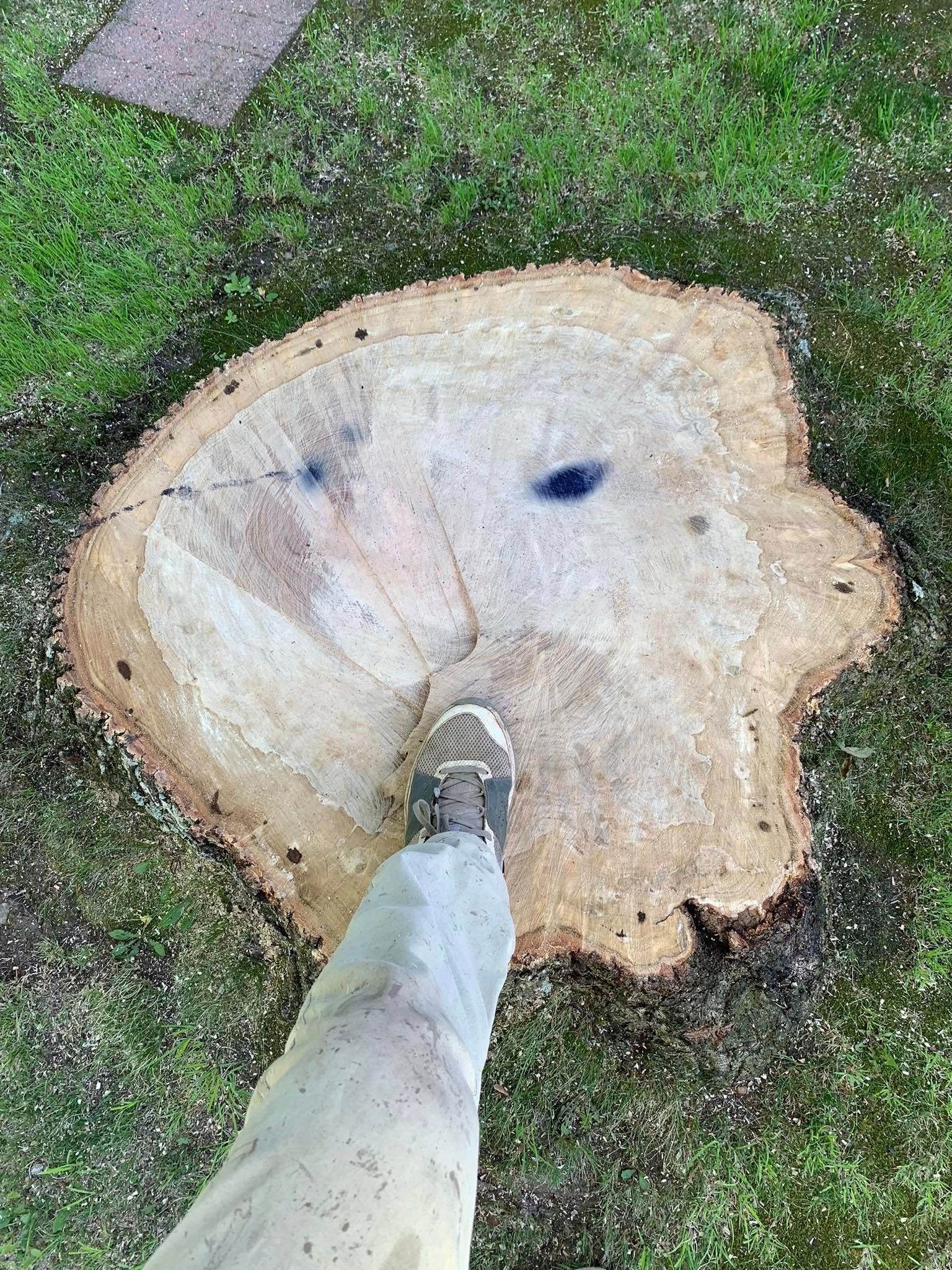 A person is standing next to a tree stump in the grass.