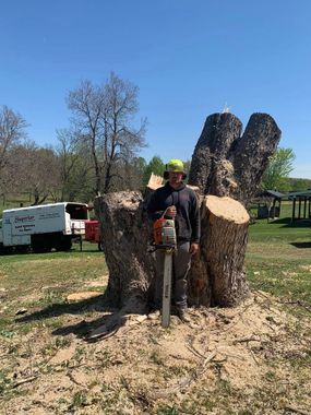 A man is standing next to a large tree stump with a chainsaw.