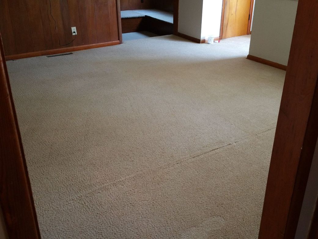 Empty beige-carpeted room with wood paneling and a small open closet area.