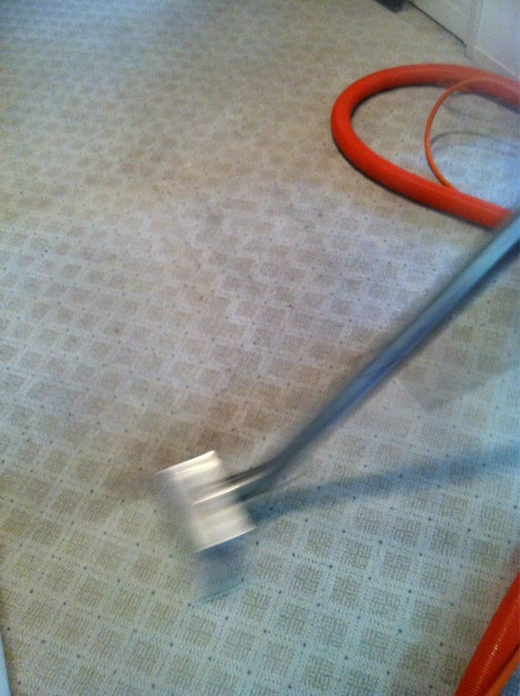 Vacuum cleaner head on a patterned carpet with a red hose looped nearby