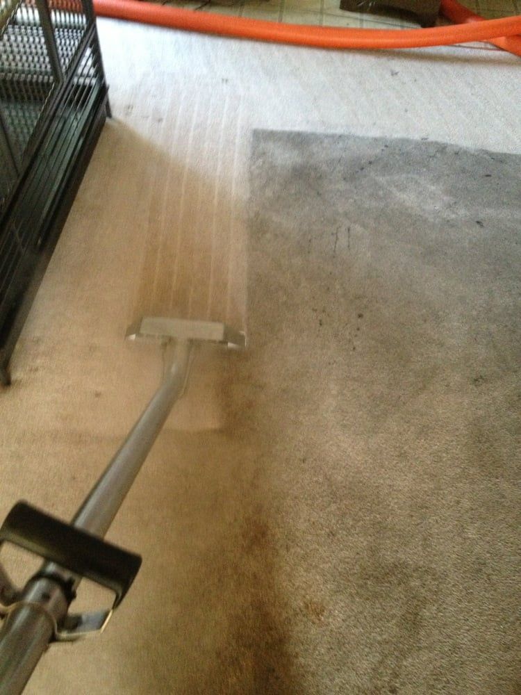 Vacuum cleaner head on a beige carpet beside a dark cage or crate