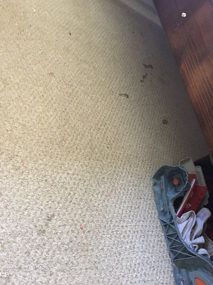 Carpeted floor with small dark spots and a shoe rack in the lower right corner.