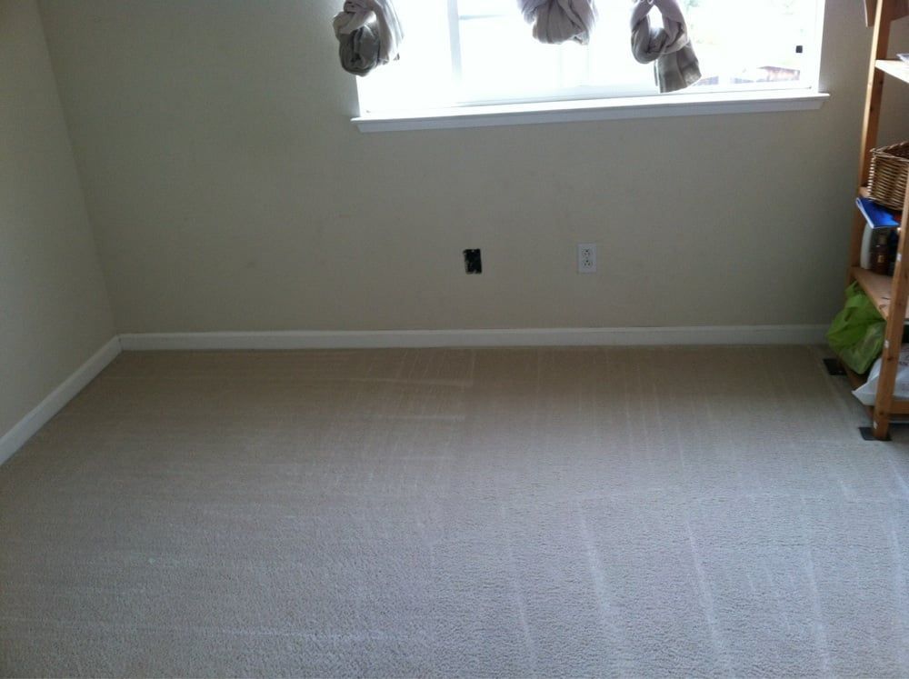 Empty beige carpeted room with a window and light-colored walls