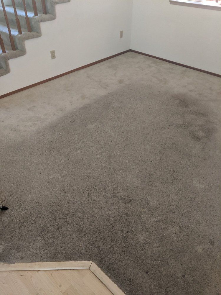 Empty carpeted room with stairs and white walls, showing dark stains on the floor