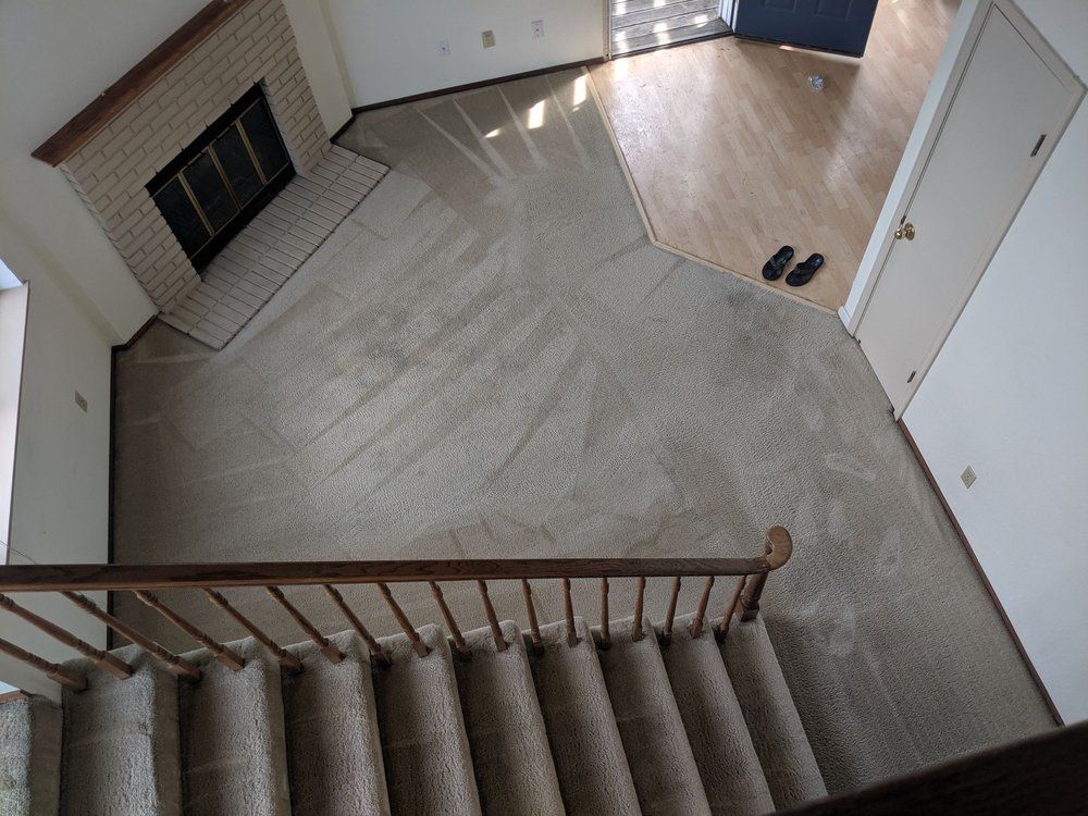 Top-down view of a carpeted staircase leading to a foyer with wood flooring and a pair of shoes near the door