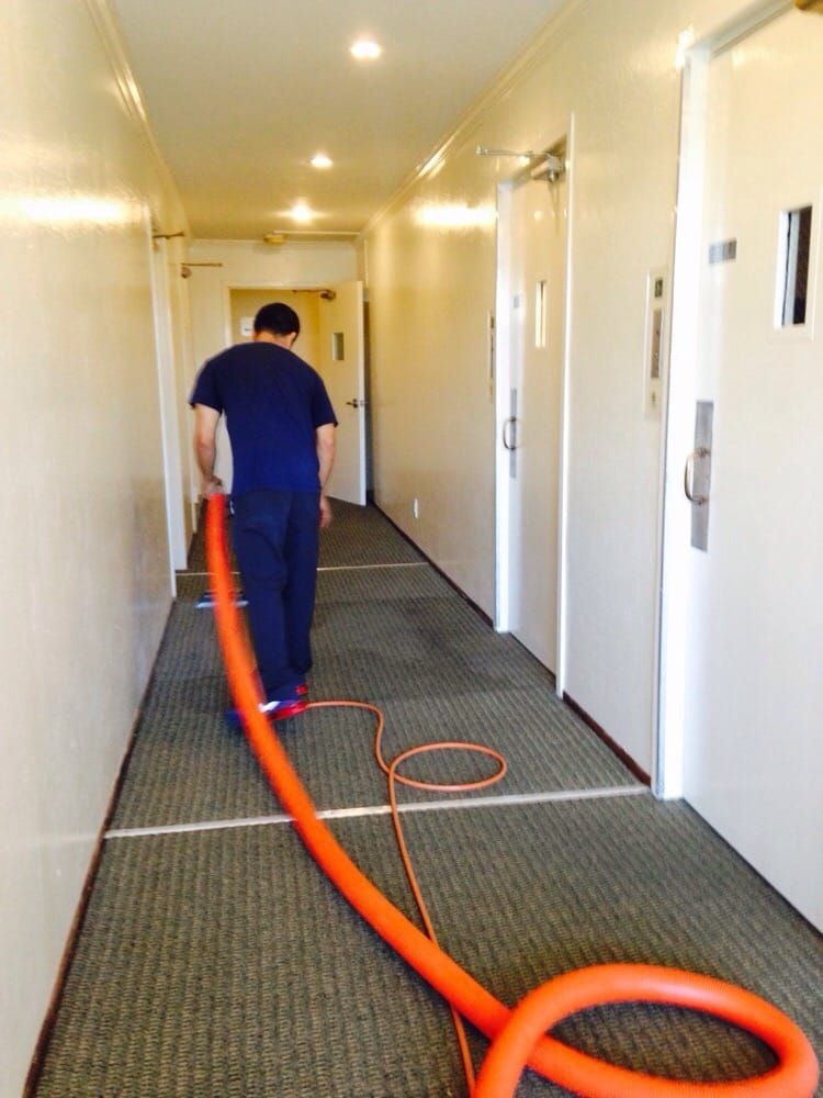 Worker cleaning a carpeted hallway with a bright orange hose in an office corridor