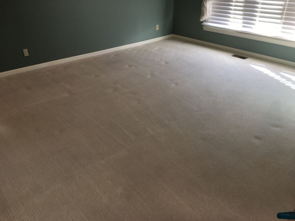 Empty carpeted room with teal walls and sunlight streaming through blinds