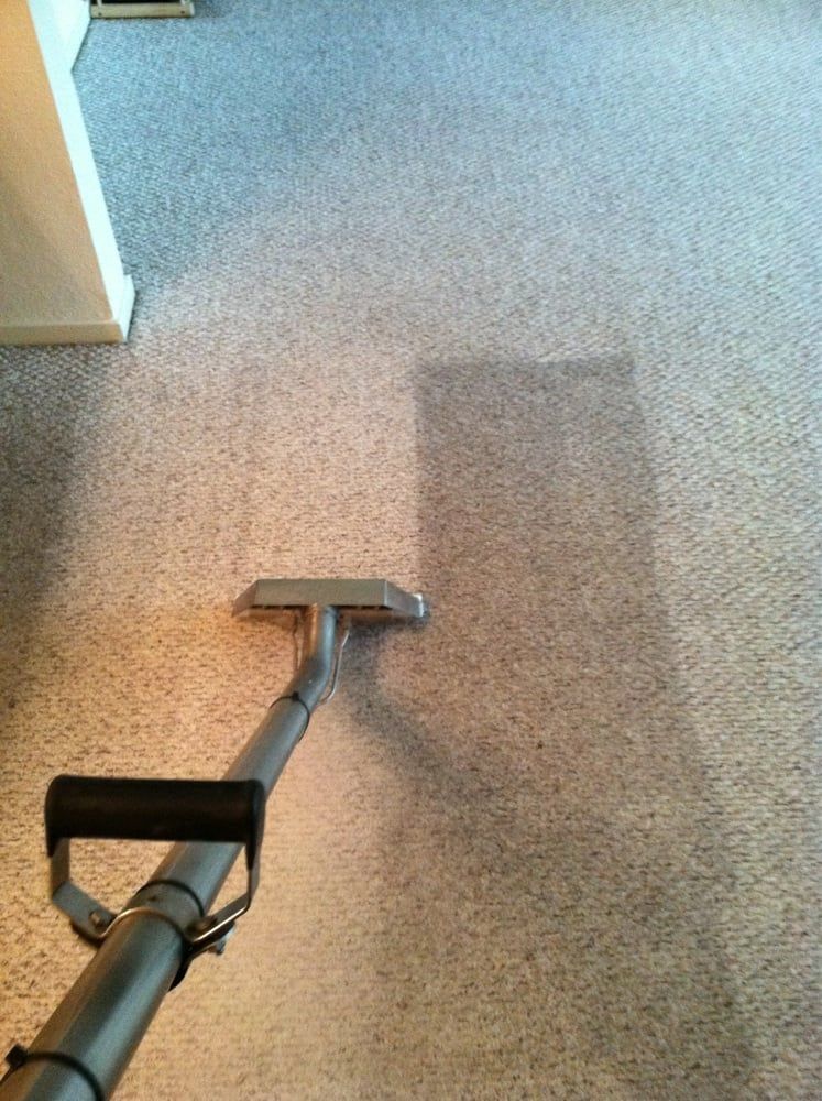 Carpet being cleaned with a vacuum cleaner, leaving a darker cleaned path.