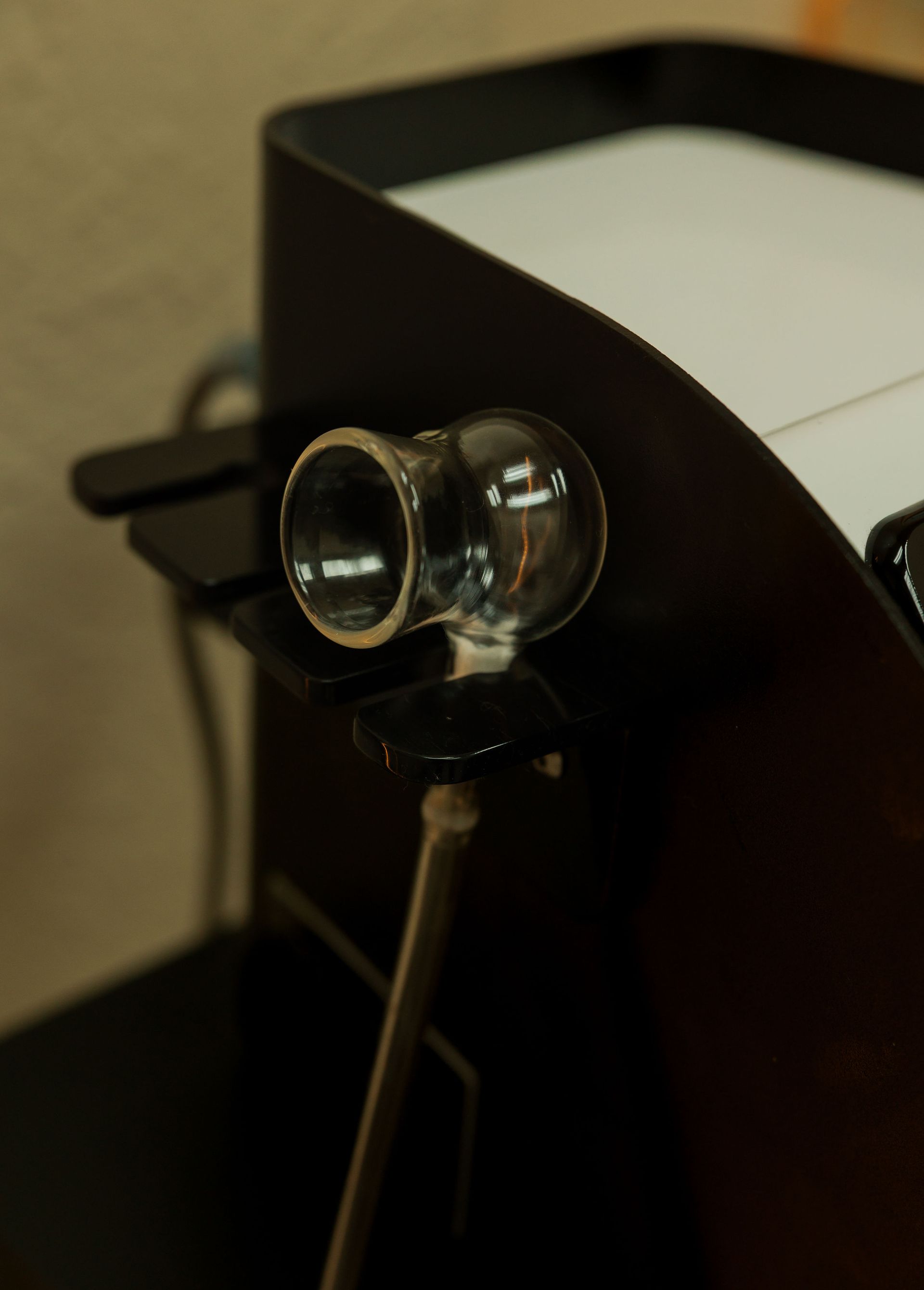 Woman with closed eyes and puckered lips, partly covered by large green leaves.