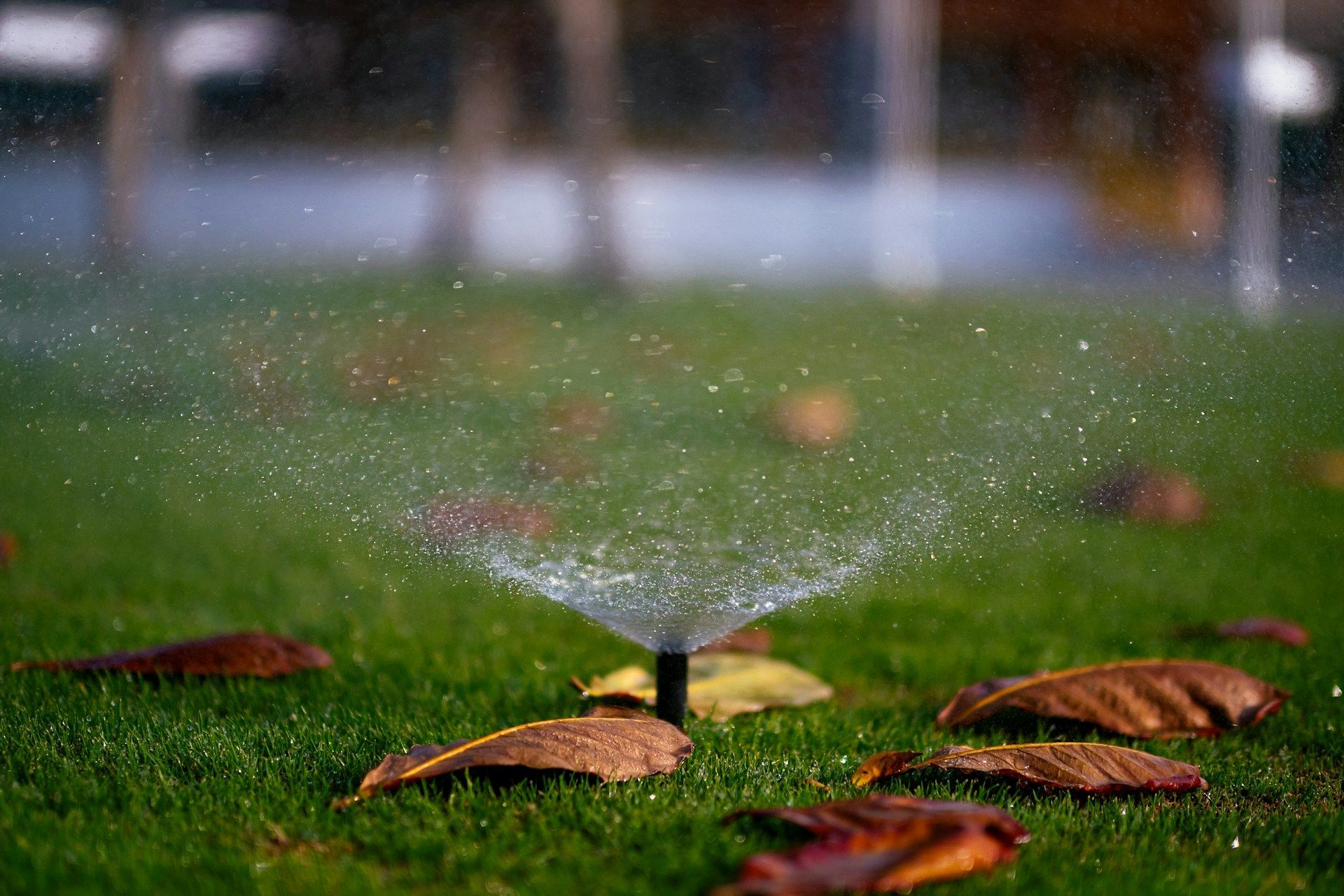 Spring Sprinkler Tune Up Guide for McKinney