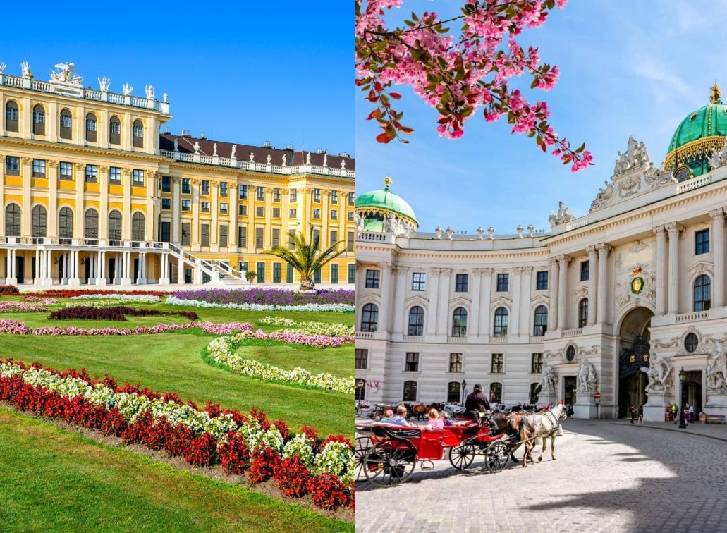 Comparison of Schönbrunn Palace and Hofburg Palace in Vienna