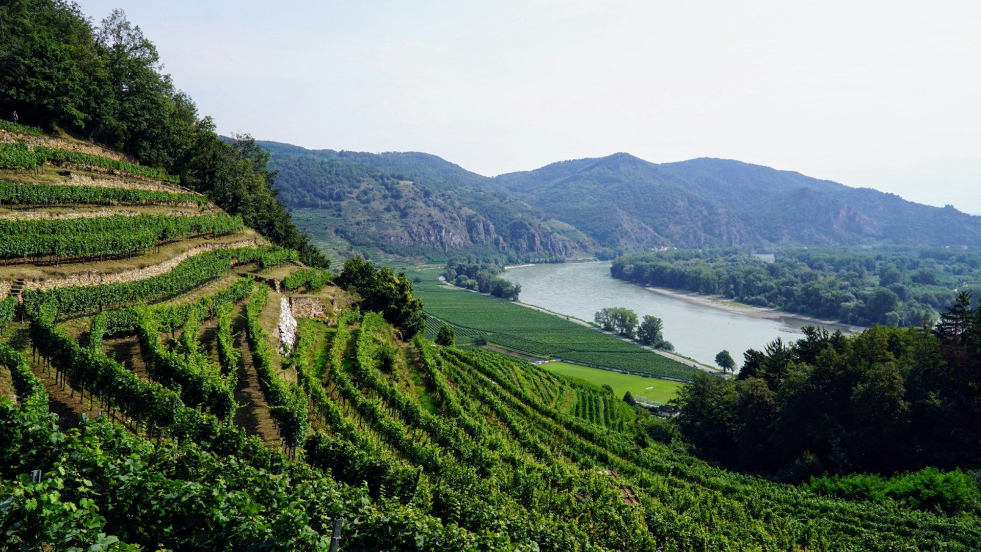 Wachau day trip from Vienna
