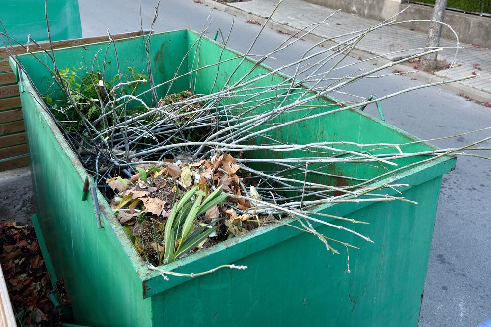 Green Waste Container Filled With Branches, Leaves, and Other Yard Debris — Fat Boy Skips Townsville In Burdell, QLD