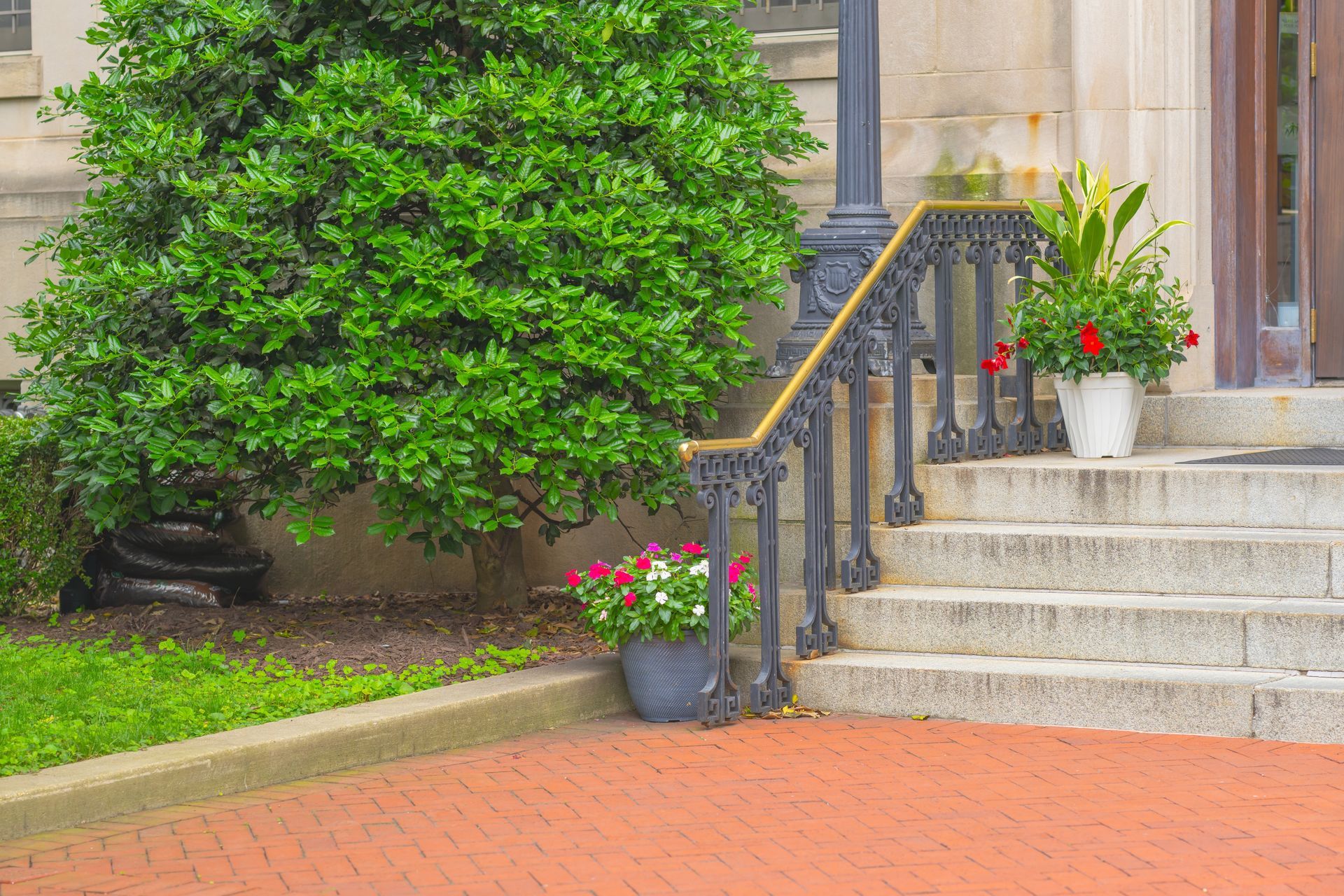 Stone steps with ornate railing, flanked by potted plants and a large green bush, lead up to a building entrance.