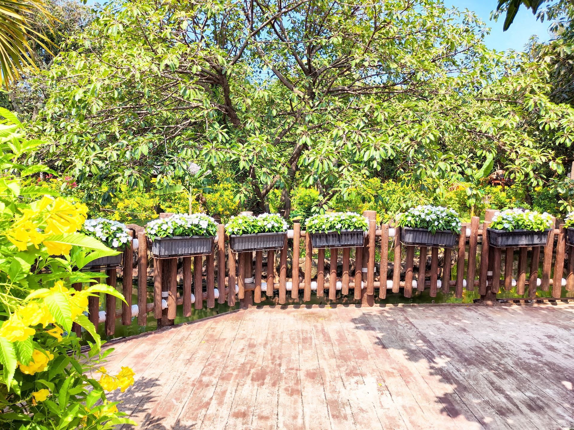 Wooden fence with hanging planters; lush green foliage in background and yellow flowers in foreground.