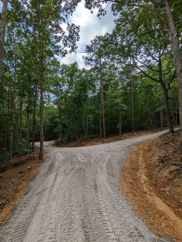 A dirt road going through a forest with trees on both sides.