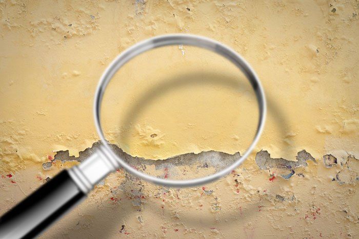 Lead Abatement in White Plains, NY | Exclusive Testing Labs Inc.