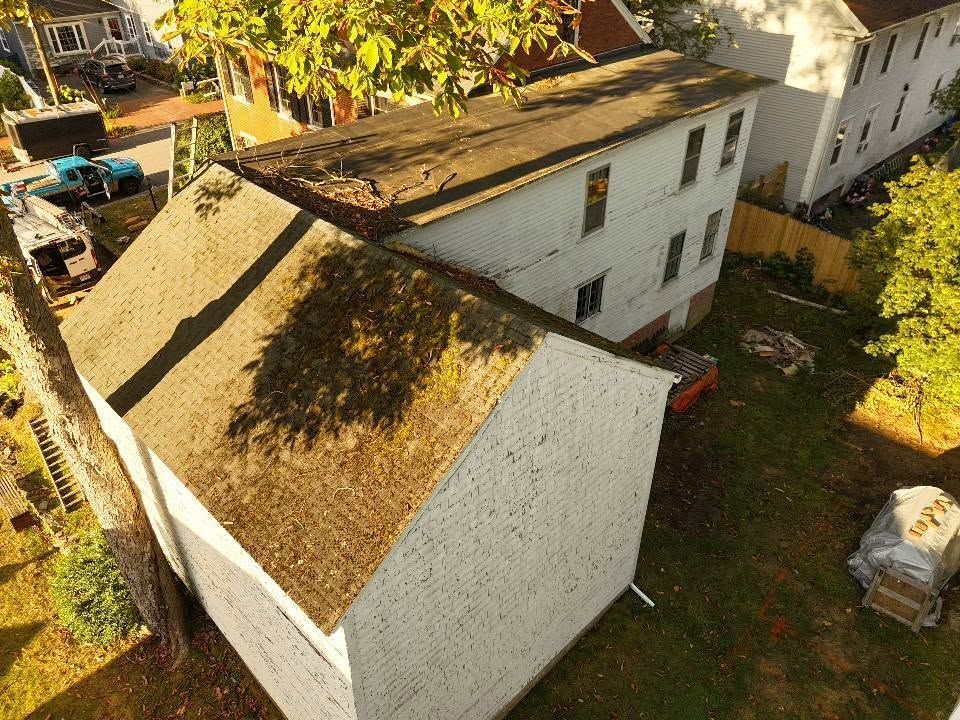 Damaged shingle roof with exposed plywood and fallen tree limbs after storm damage