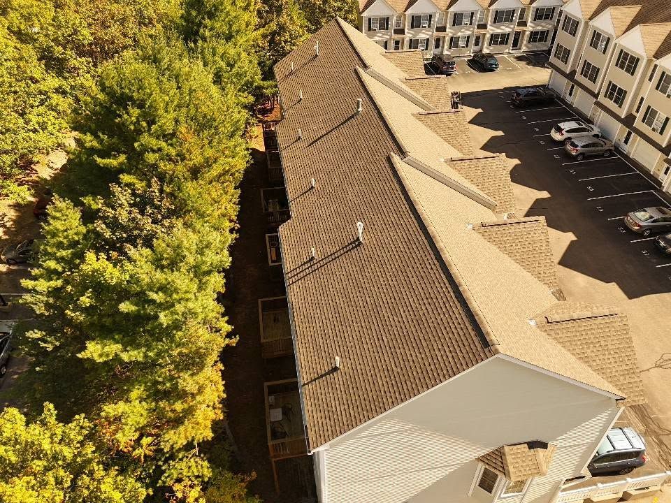 Flat black roof with two vents, seen from above, on a building surrounded by trees.