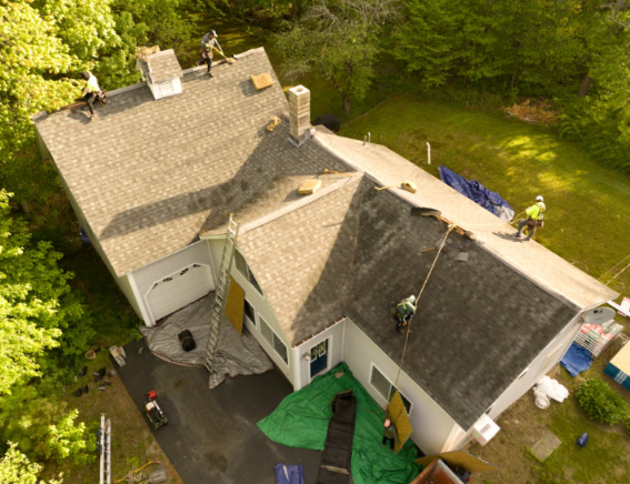 Damaged shingle roof with exposed plywood and fallen tree limbs after storm damage