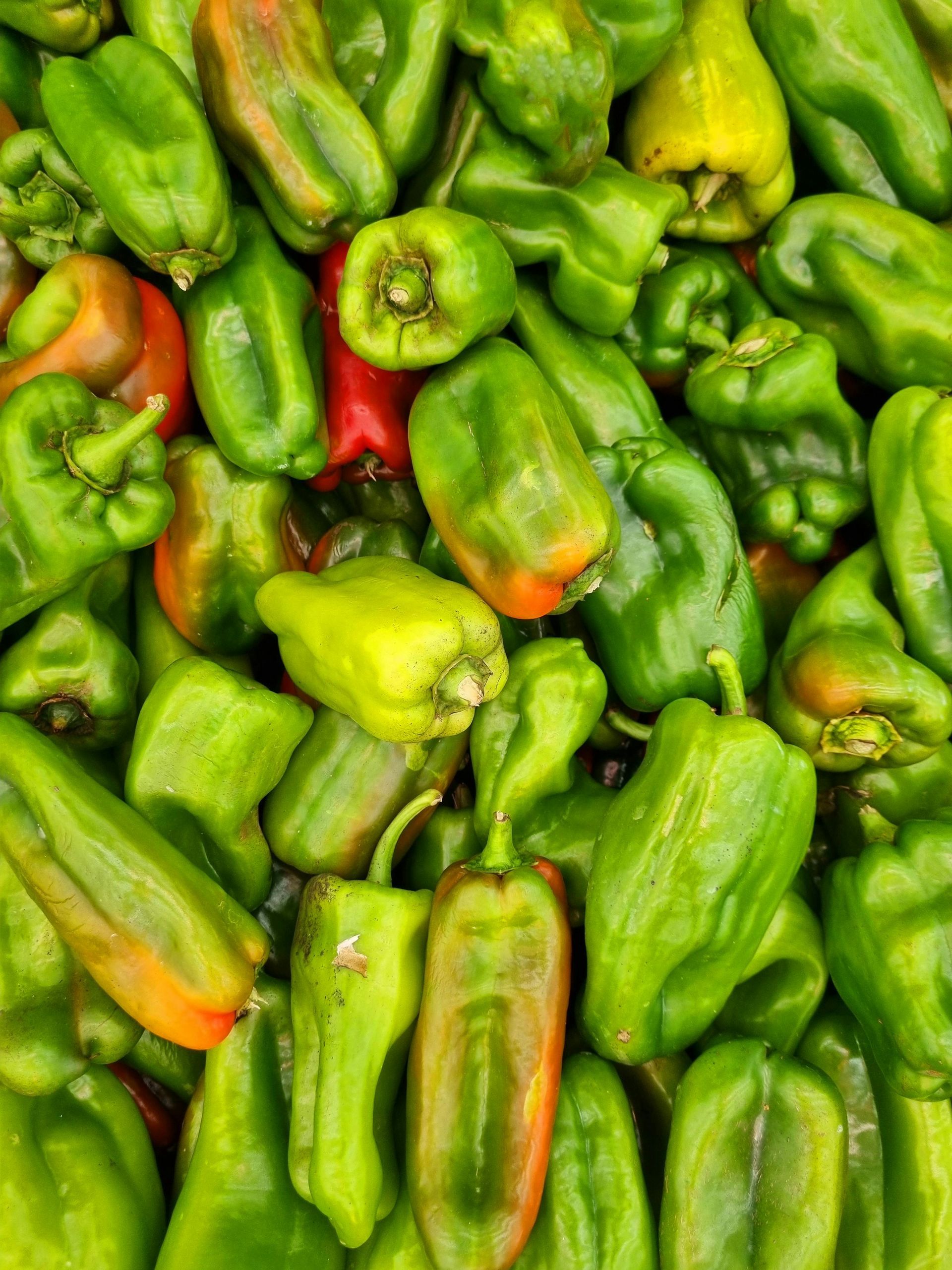 Pile of green and some red bell peppers.