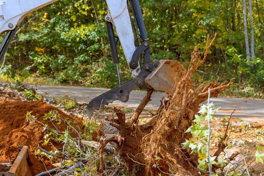 arborist western sydney