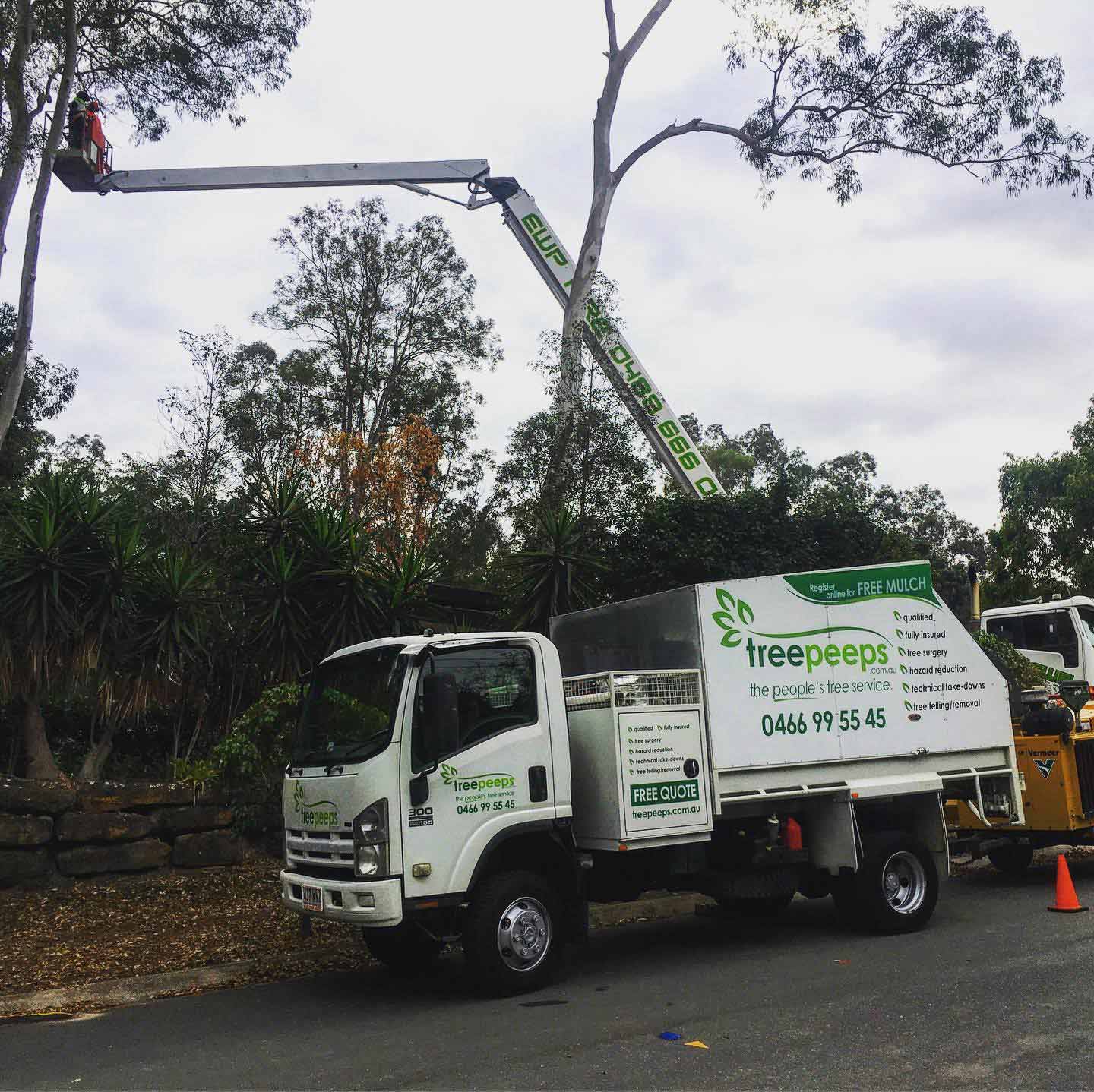 treepeeps-gallery-07