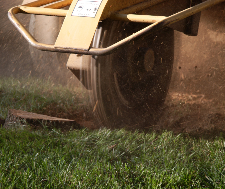 Stump Grinding brisbane